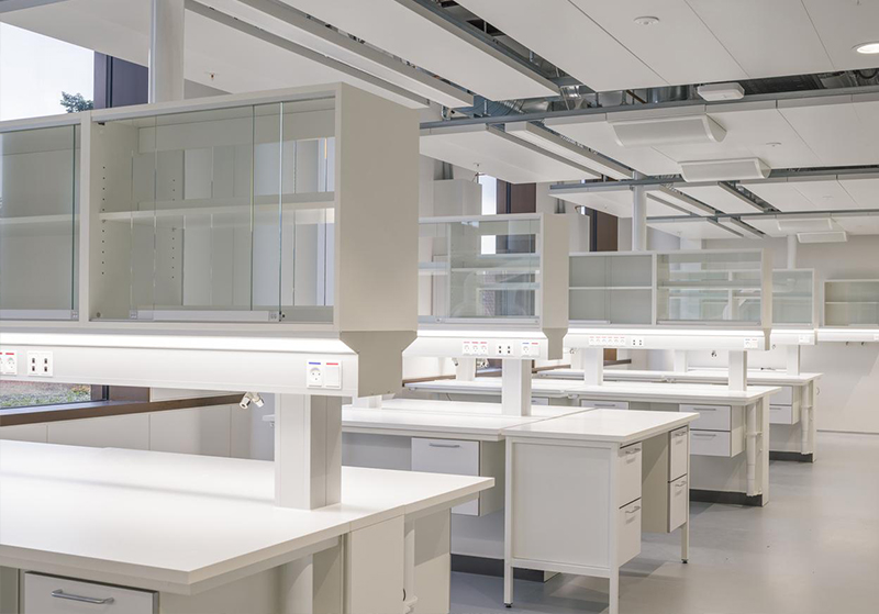 �������Č�(sh��)�(y��n)���b��